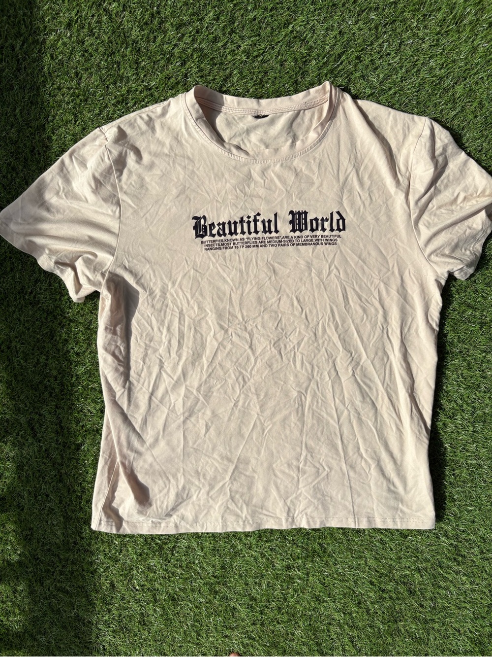 Beautiful World Crewneck Tee — Cream